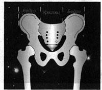 Мантэк - Даньтянь Цигун - Пустая Сила, Энергия Промежности И Второй Мозг