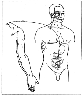 Фалев - Классическая Методология Традиционной Китайской -Терапии