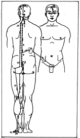 Фалев - Классическая Методология Традиционной Китайской -Терапии