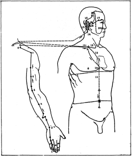 Фалев - Классическая Методология Традиционной Китайской -Терапии