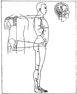 Фалев - Классическая Методология Традиционной Китайской -Терапии