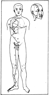 Фалев - Классическая Методология Традиционной Китайской -Терапии