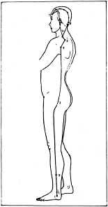Фалев - Классическая Методология Традиционной Китайской -Терапии