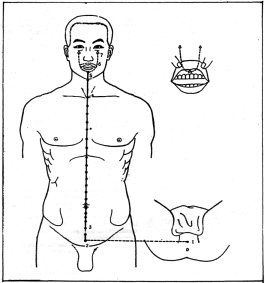 Фалев - Классическая Методология Традиционной Китайской -Терапии