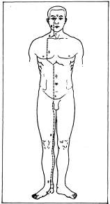Фалев - Классическая Методология Традиционной Китайской -Терапии