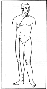 Фалев - Классическая Методология Традиционной Китайской -Терапии