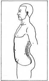Фалев - Классическая Методология Традиционной Китайской -Терапии