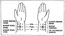 Фалев - Классическая Методология Традиционной Китайской -Терапии