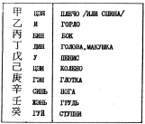 ����� - ������������ ����������� ������������ ��������� -�������