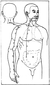 Фалев - Классическая Методология Традиционной Китайской -Терапии
