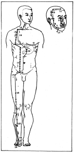 Фалев - Классическая Методология Традиционной Китайской -Терапии