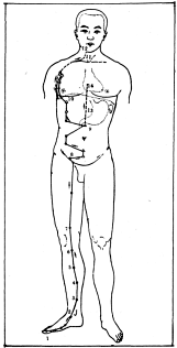 Фалев - Классическая Методология Традиционной Китайской -Терапии