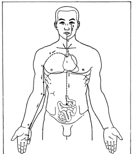 Фалев - Классическая Методология Традиционной Китайской -Терапии