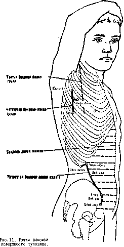 ����� �����������
