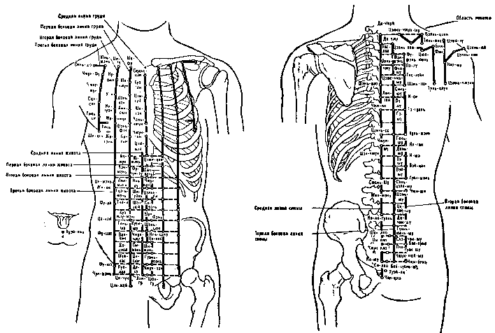 ����� �����������
