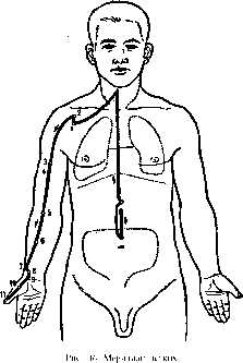 �������� ������