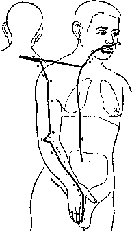 �������� ������