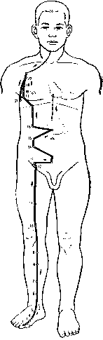 �������� ���������