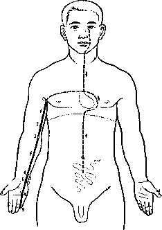 �������� ���������