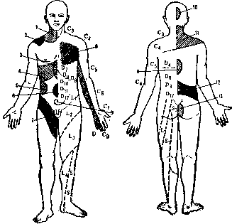 ����� �. - ������� ����������� �� �������������� � ����������