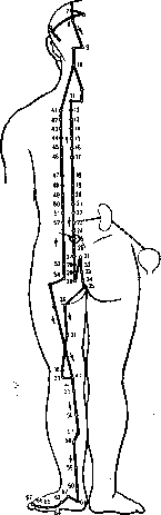 �������� ���������