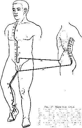 �������� �����

