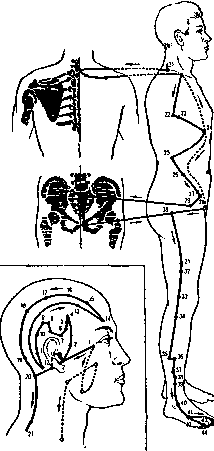 �������� ���� ������ ��������

