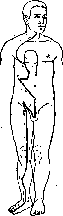 �������� ��������� �������� �����-���