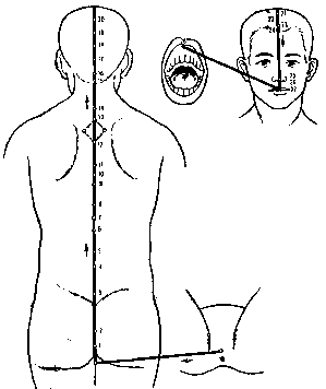 �������� ��������� �������� �����-���