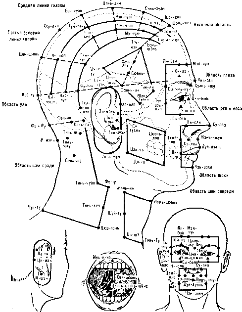 ����� �����������
