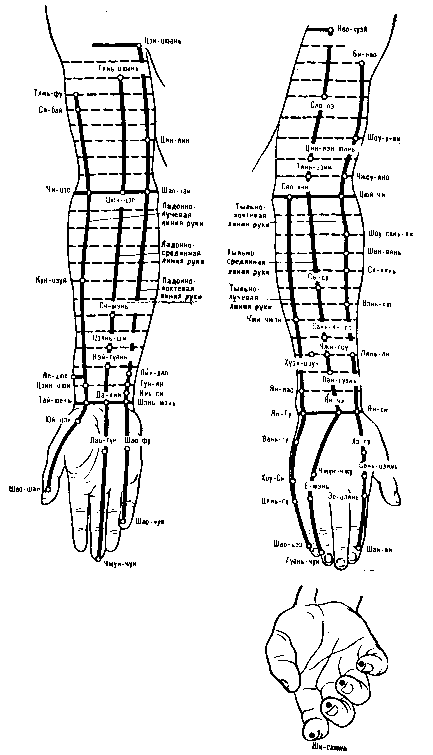 ����� �����������
