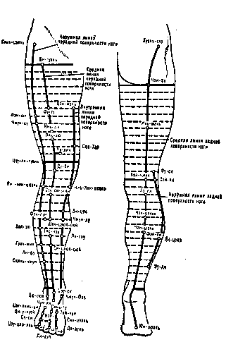 ����� �����������
