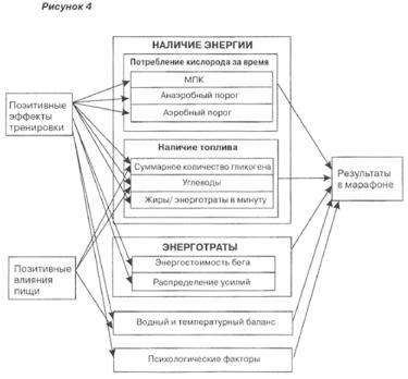 ������� - ���������� � ����������� ����