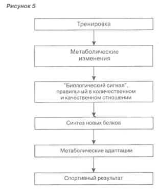 ������� - ���������� � ����������� ����