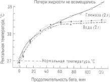 ����� - ���� 42 -�������