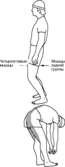 Андерсон - Растяжка Для Каждого