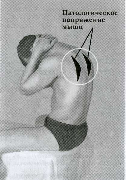 ������ - ���������� ��� ���������� �������