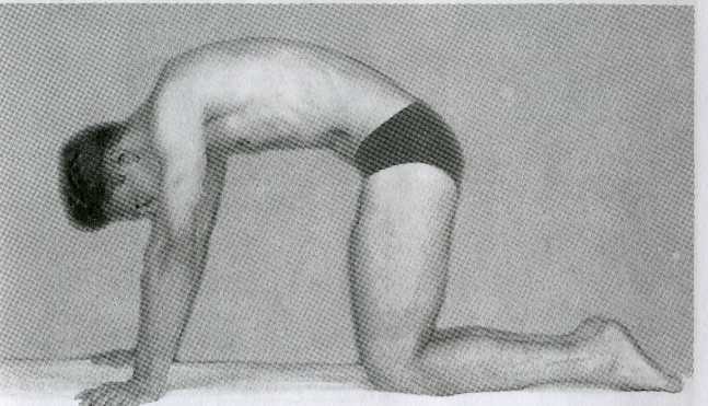 ������ - ���������� ��� ���������� �������