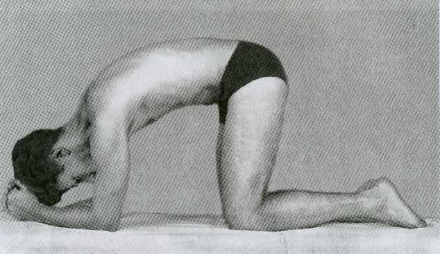 ������ - ���������� ��� ���������� �������