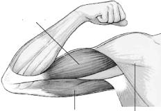 ������ - ��������� ������ - ������������ � ����������� ���������� ��� ������