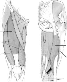 ������ - ��������� ������ - ������������ � ����������� ���������� ��� ������