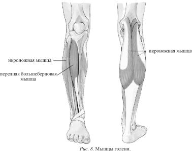 ������ - ��������� ������ - ������������ � ����������� ���������� ��� ������