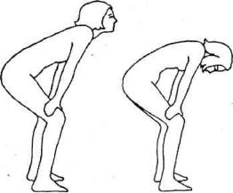 �������� - ������������ ������ �� 15 ����� � ����