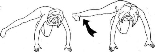 �������� - ������������ ������ �� 15 ����� � ����