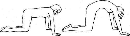 �������� - ������������ ������ �� 15 ����� � ����