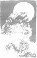 ��������� - � �������� � �� ��������