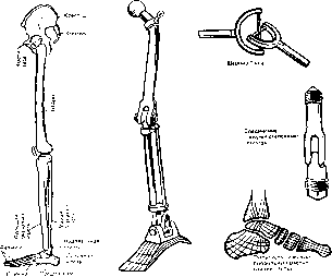 ��������� - � �������� � �� ��������