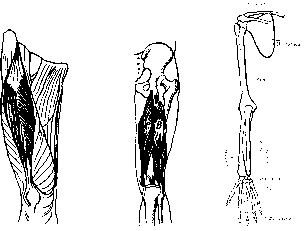 ��������� - � �������� � �� ��������