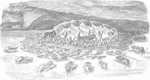 ��������� - � �������� � �� ��������