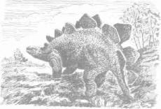 ��������� - � �������� � �� ��������